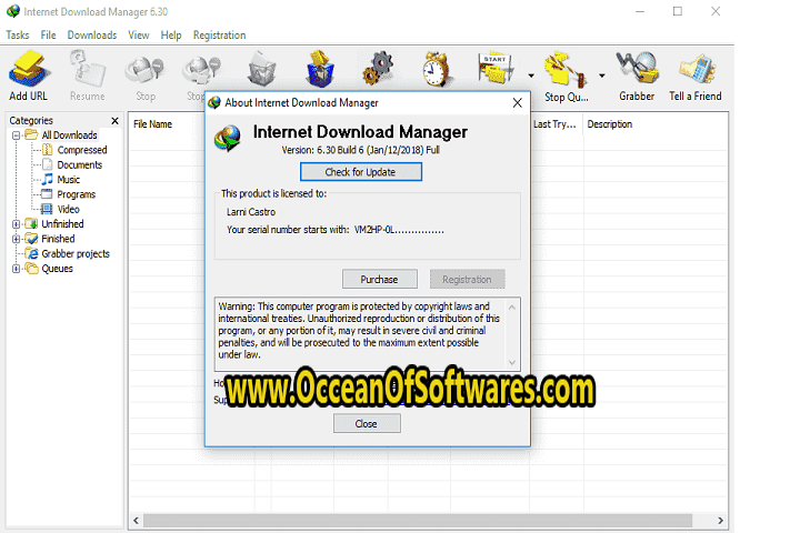 Internet Download Manager 6.41 build 2 incl Patch Free Download