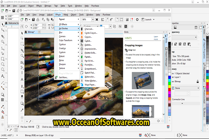 CorelDRAW Graphics Suite 2022 v24.2.0.429 Free Download