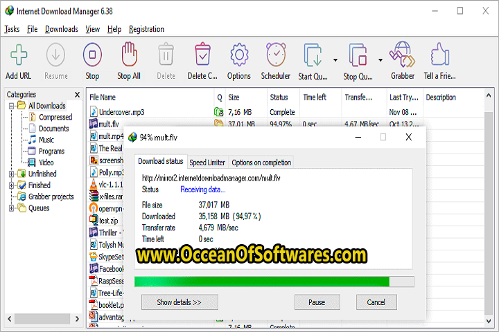 Internet Download Manager 6.41 Free Download 
