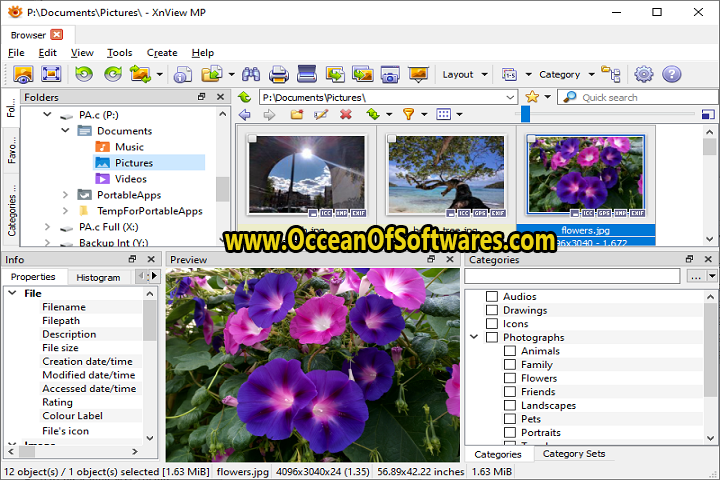 XnViewMP 1.3.0 Free Download
