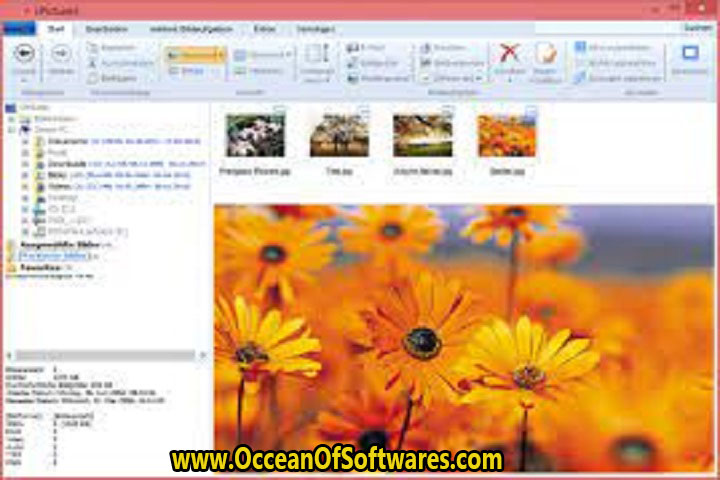 cPicture LE 1.6.8 Free Download
