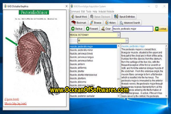 INDUCTEL Medical Dictionary 14 Free Download
