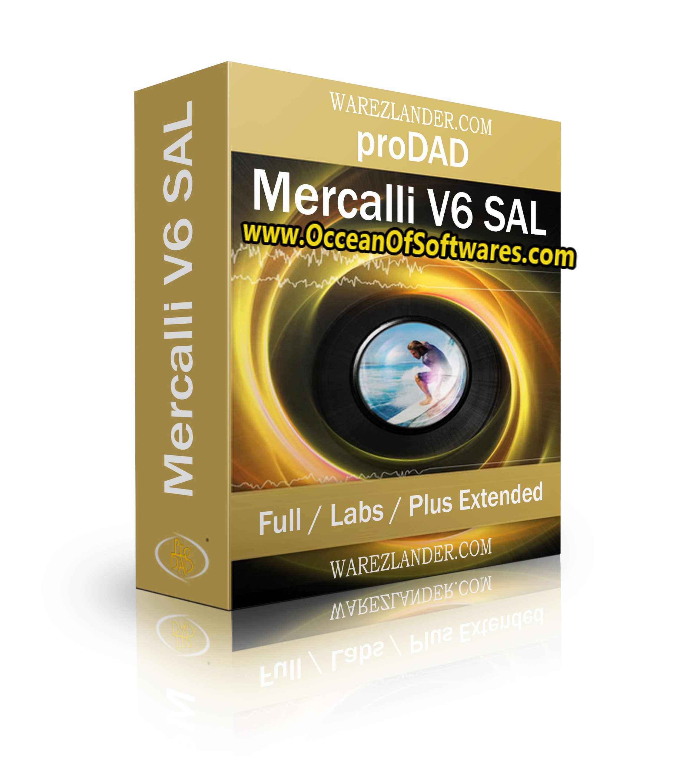 proDAD Mercalli V6 SAL 6.0 Free Download