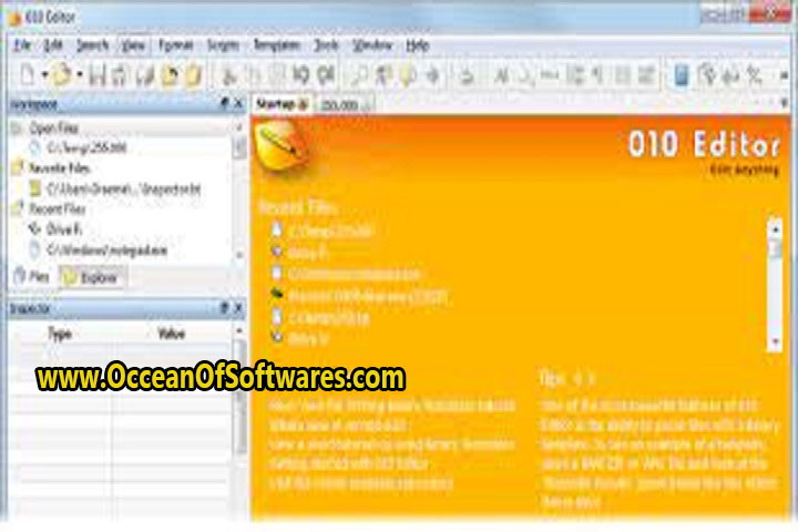 SweetScape 010 Editor 13 Free Download