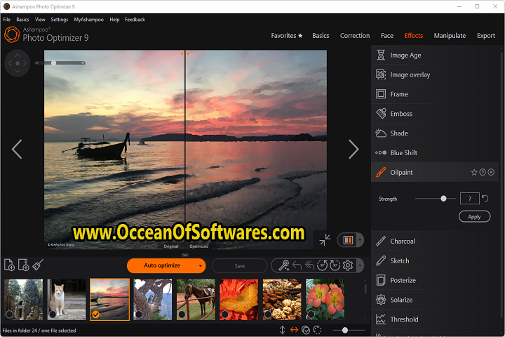 Ashampoo Photo Optimizer 9.3.4 PC Software with crack
